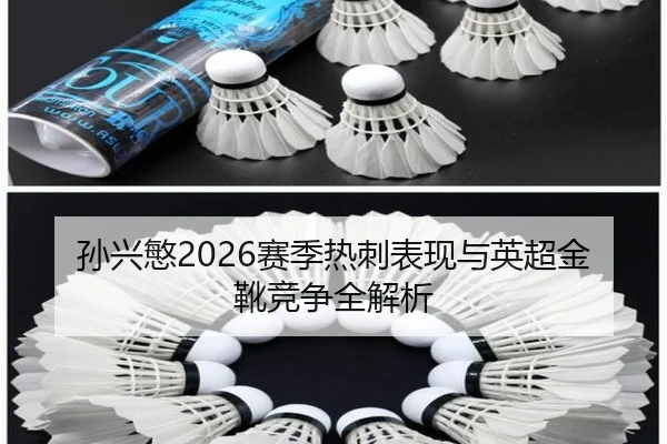 孙兴慜2026赛季热刺表现与英超金靴竞争全解析